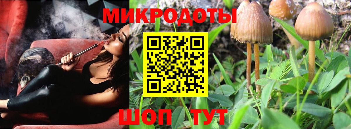 Сердобск  Галлюциногенные грибы Cubensis  Вход с VPN 